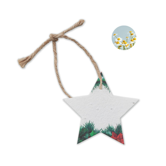 Ornament de Crăciun cu semințe STARSEED