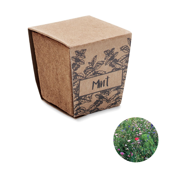 Kit de creștere a semințelor de MINT KIT