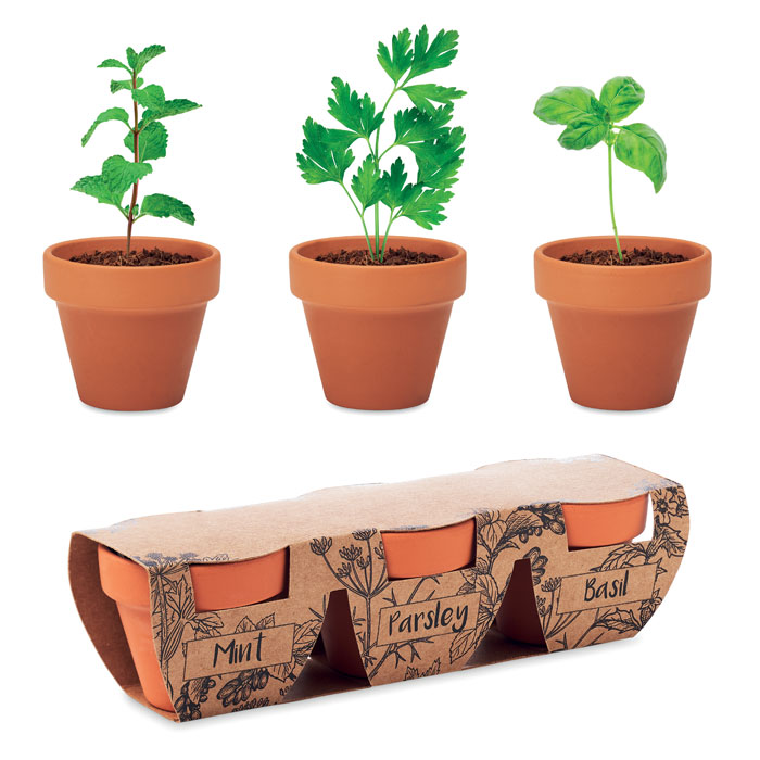 Set vase teracotă - 3 ierburi FLOWERPOT Lemn