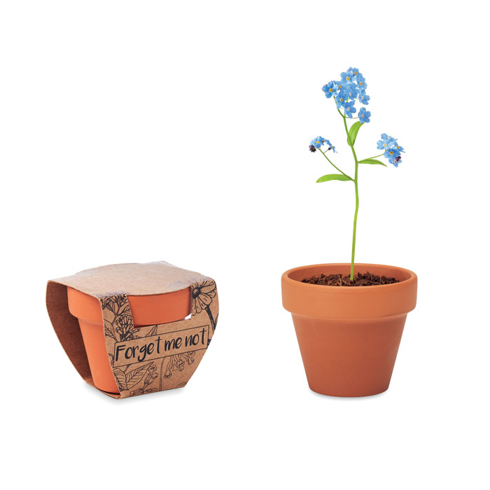 Vas teracota "nu ma uita" FORGET ME NOT Lemn
