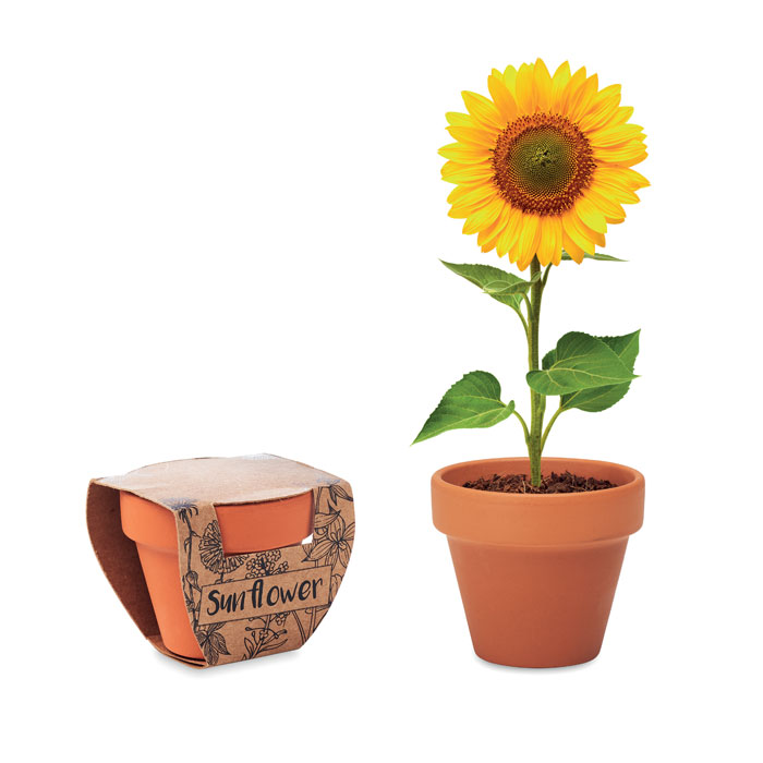 Vas "floarea soarelui" SUNFLOWER Lemn