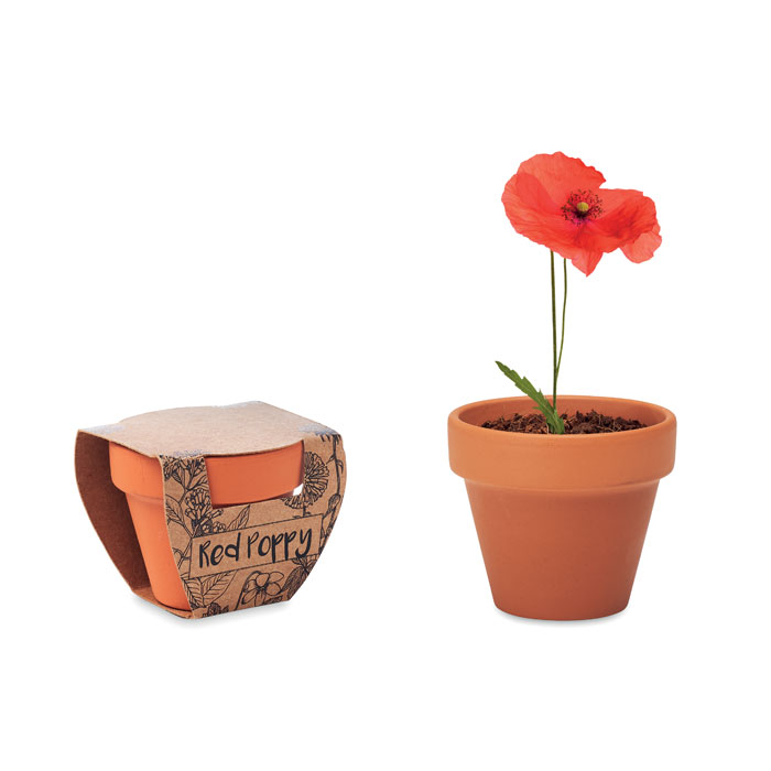Vas teracota "mac" RED POPPY Lemn