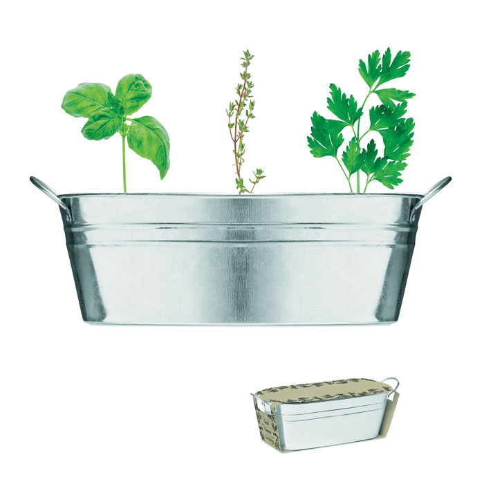 Ghiveci din zinc cu semințe MIX SEEDS Argint Mat