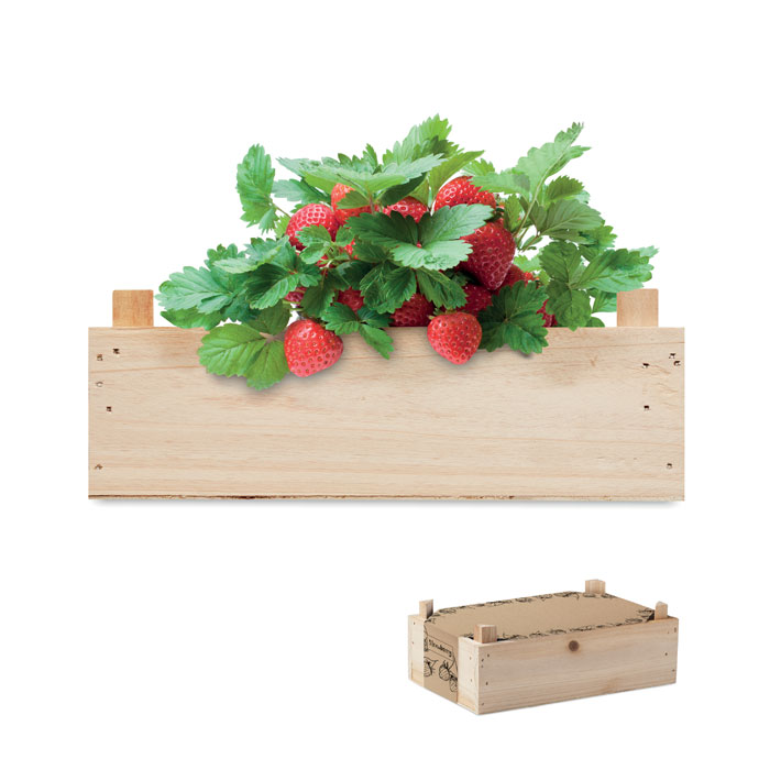 Kit căpșuni în cutie de lemn STRAWBERRY Lemn