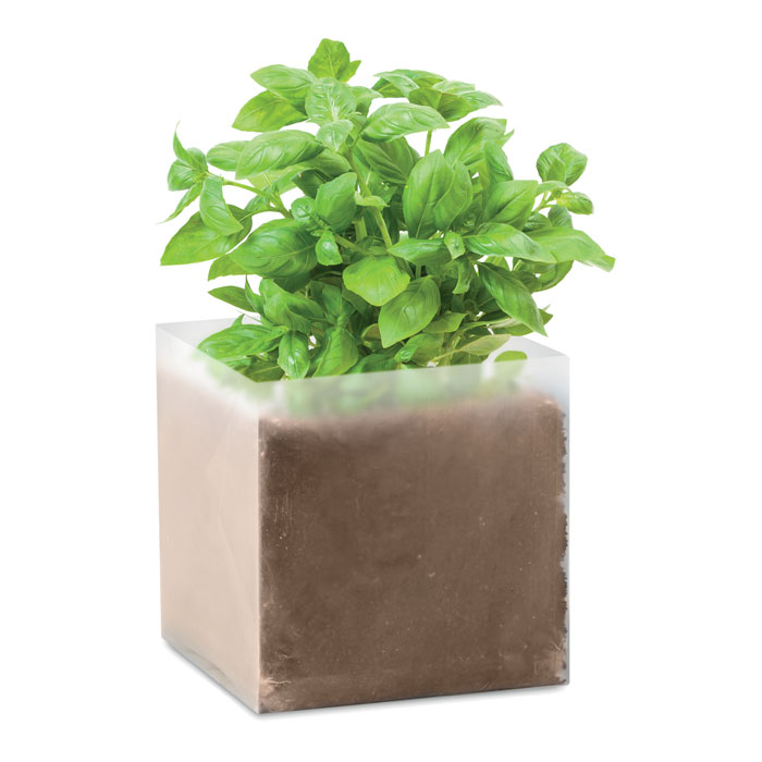 Compost cu semințe "BASIL" Bej
